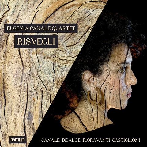 Risvegli (2023) Risvegli (2023)