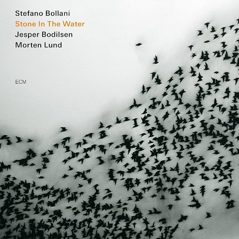 Stone in the Water (2009)