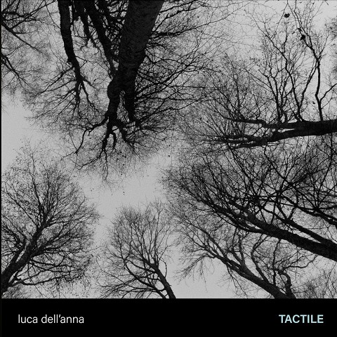 Tactile (2024) Tactile (2024)