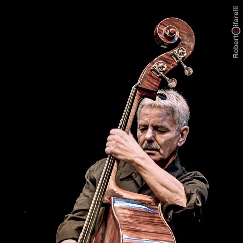 Ares Tavolazzi