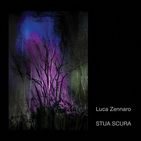 Stua scura (2026)