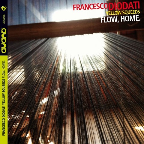 Flow, Home (2015)