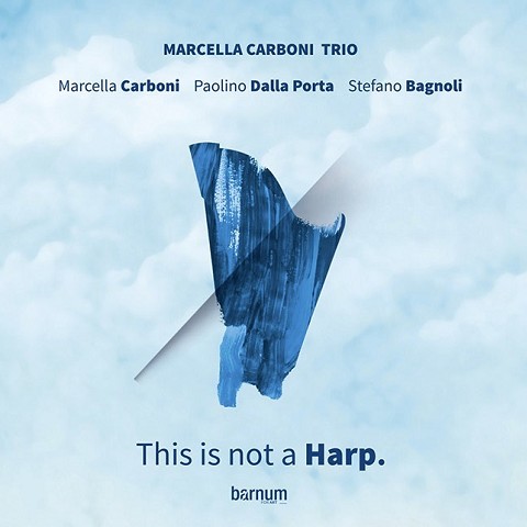 This is not a Harp (2020)